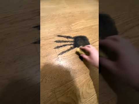 PASOS | Parte 1 #miedo #parati #paranormal