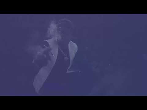 Devenaldo Myroon - On My Way (Official Music Video) 