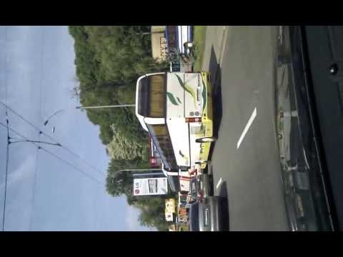 Киев заполонили автобусы