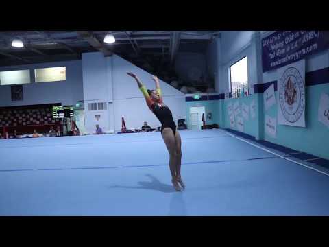 Malia Todd 2nd Floor Olympic Dreams Invite 2017 Wildfire Gymnast Level 5