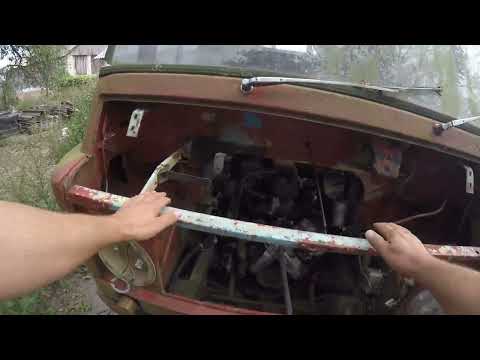 Żuk po przeszczepach