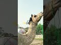 Allah Ko Ibrahim Ki Ai Ada Pasand ️ ️ ️ ️ ️