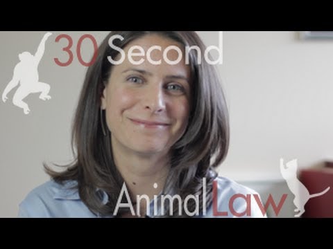What Laws Protect Animals who are Raised for Food? | 30 Second Animal Law