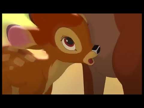 The Brave Little Cheetah Part 3 - 'A Car'