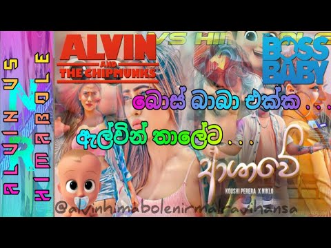 ඇල්වින්  තාලෙට ආශාවේ | Ashawee Alvin Version - Koushi Perera X Niklo @alvinhimabolenirmalravihansa