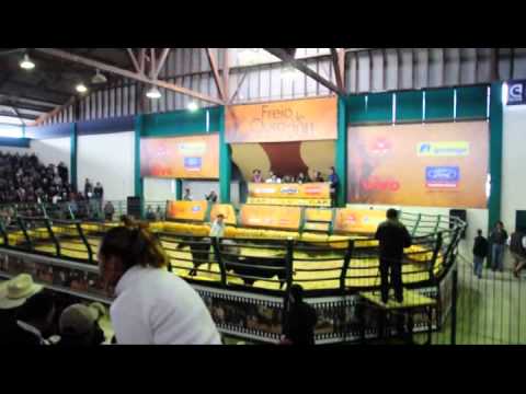 Mangueira - Box 28 - Freio de Ouro 2011