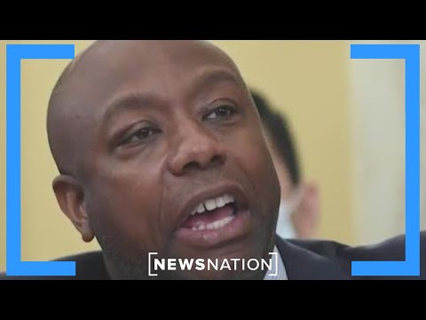 GOP Primary: What gives Tim Scott a chance against Trump? | Morning in America