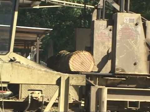 Hurdle Machine Works Mill in the Woods (part 1)