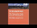 Tchaikovsky Dance Of The Sugar Plum Fairy Act II No 14c