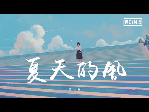 蓝心羽 - 夏天的风【動態歌詞/Lyrics Video】