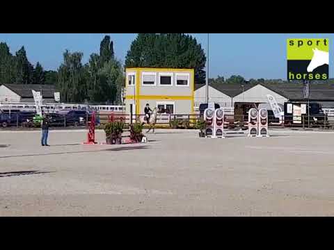 BWP | CALIDO I | CLEARWAY