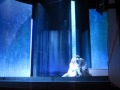 Die Frau ohne Schatten act 3 (excerpts) 