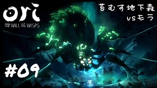 [Live＃9]小さな妖精、大冒険ふたたび[オリとウィスプの意志]はねでぃ