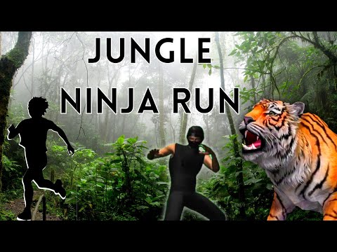 Jungle Ninja Run - Ninja Workout Fitness Game