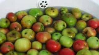 preview picture of video 'Torkard Cider - Fruit preparation and milling'