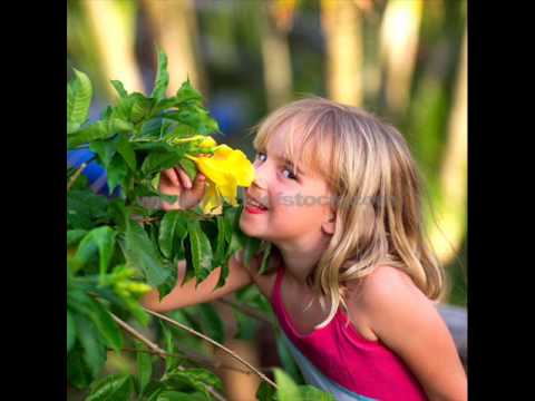 Volodos  play Schubert-Liszt : Liebesbotschaft (Love Message)