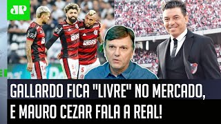 ‘Eu acho que o Flamengo tem a obrigação de ficar atento a…’: Mauro Cezar fala tudo sobre Gallardo