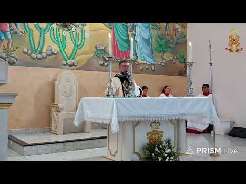 Transmissão ao vivo de Paróquia Nossa Senhora  Conceição de Pedro II-PI