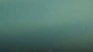 Download lagu Lagu (Paduan Kasih ) Taming96 & Nur Ainna11 ) mp3