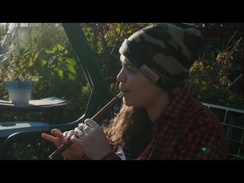 Swallowtail Jig and Fig for a Kiss Slip Jig | Wooden Tin Whistle | Irish Traditional Flute Music