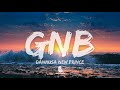 Danmusa New Prince - GNB (Lyrical Video)