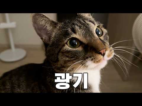 물어와의 늪에 빠져버렸습니다...