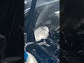Big Mistake Engine Cleaning Tutorial Tip Car Cars Tips Car Cleaning