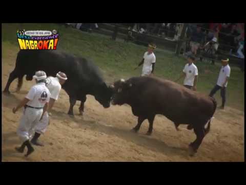 Let's exeperience NAGAOKA！【English】