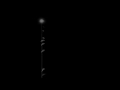 David J - A Longer Look