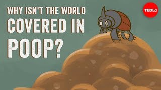 Addison Anderson - Why Isn't The World Covered In Poop?