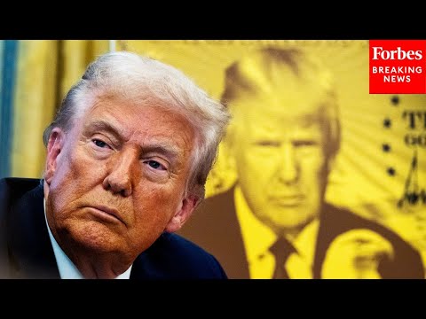 Video | Trump Asked: 'Is There A Limit To How Many Gold Cards These Companies Can Buy?'