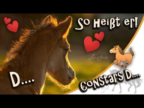 So heißt das Fohlen! Warum es nicht Déjà-vu geworden ist..