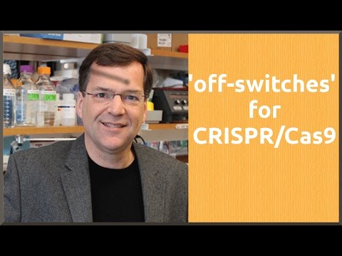 Scientists discover 'off-switches' for CRISPR/Cas9 gene editing | QPT