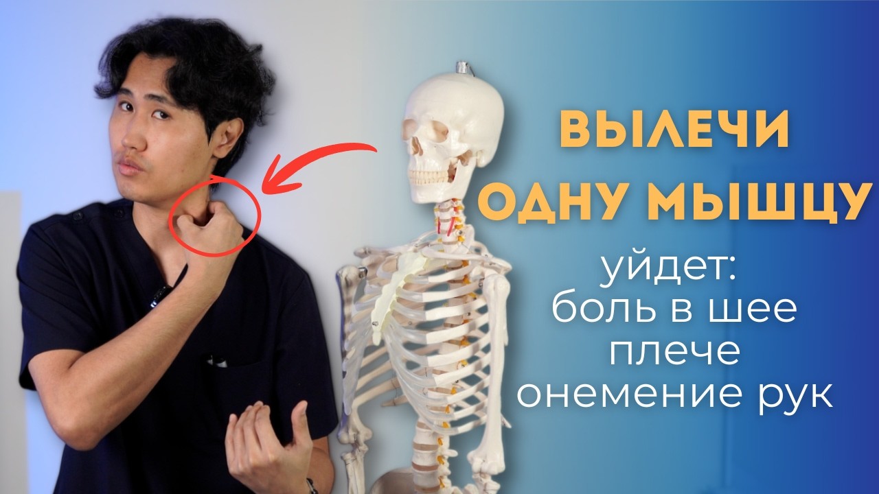Расслабь ОДНУ МЫШЦУ. Пройдет боль в шее, плече, онемение рук.