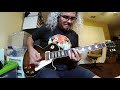 The Vandals - N. I. M. B. Y. (guitar cover)
