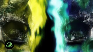 Cover art for Silentphobia