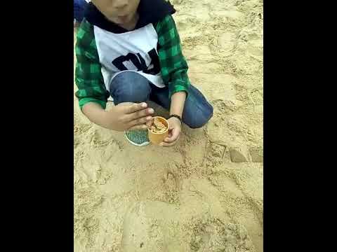 on the beach hafiz acara family day kb anzal al islah babusalam