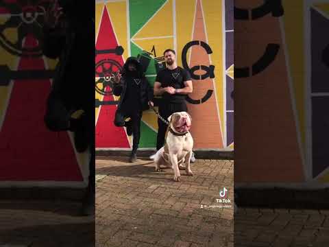 GYMBARZ with Kash OFB out soon @kashone7  hit that subscribe button #ofb #biglewgymbarz