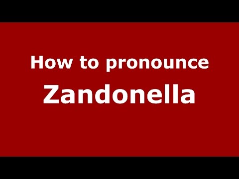 How to pronounce Zandonella (Italian/Italy)  - PronounceNames.com