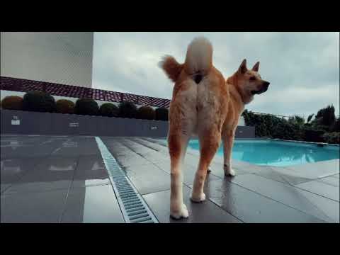 Premium Haircut At Home - Danny´s the Cali Cave BArcelona