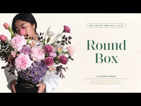 round-box-online-course