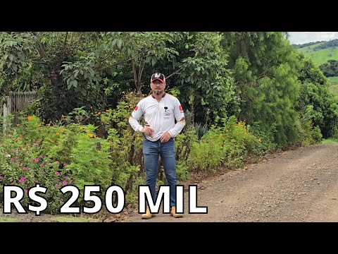 CHÁCARA PANORÂMICA CASA 4 QUARTOS TERRA ROXA MUITA FRUTA E LAVOURA R$ 250 MIL - REC - 012