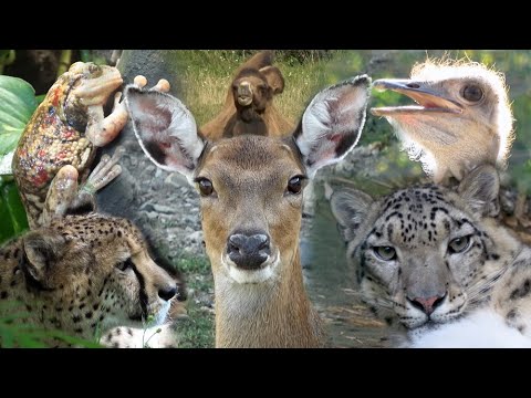 Ústí nad Labem Zoo