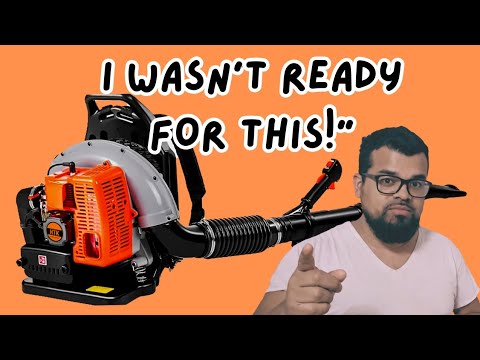 This Cheap Leaf Blower Blew Me Away! | HTK