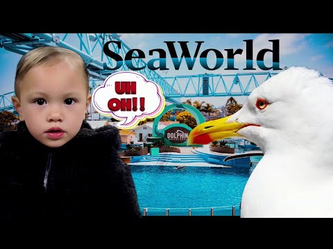 San Diego SeaWorld Adventure! | Fun Learning with Ocean Animals | Elly's Adventurezzz