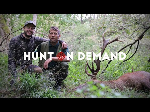 Hirschjagd im Urwald – die ersten 15 Minuten Jurassic Jelena II –  Hunt on Demand Trailer