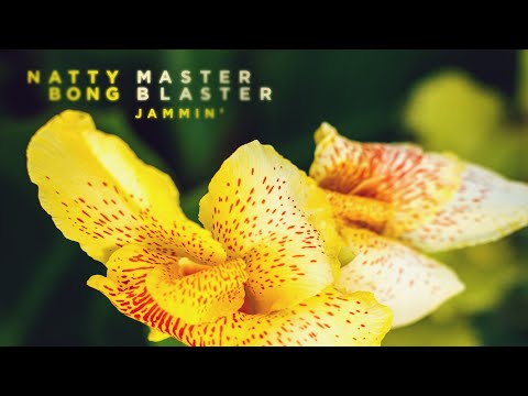 Master Blaster (Jammin’)  Natty Bong (Reggae Cover)