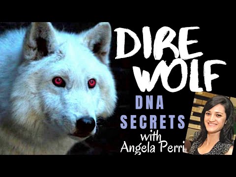 Dire Wolves DNA Secrets ~ with ANGELA PERRI