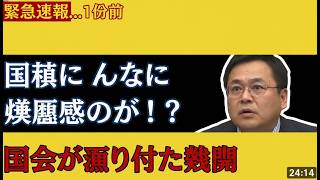 衝撃！参政党・梅村みずほが国会で大論戦！高市内閣・公明党・シバキ隊巻き込み国旗損壊罪論破 #参政党 #梅村みずほ #国会論戦