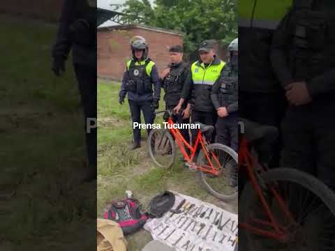VIGÍAS RECUPERARON ELEMENTOS ROBADOS Y SECUESTRARON UN REVÓLVER EN LASTENIA